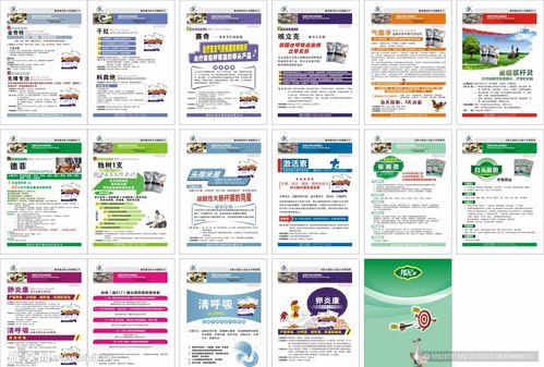 高效触达·专业呈现 兽药产品宣传单页设计及代理服务方案